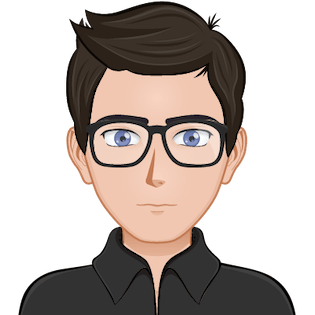 Rishi Bhardwaj, Software Developer