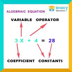 Bhavy Education Importance of Algebra